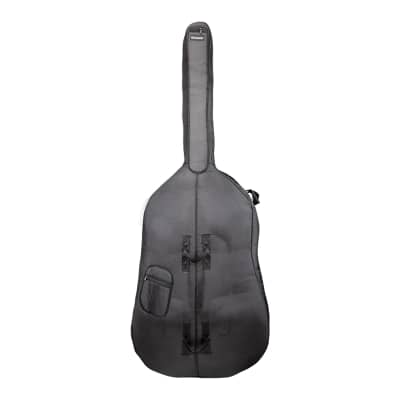 Eastman VB105 Step Up Double Bass - Outfit 3/4 image 3