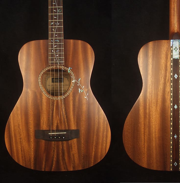 4 string tenor guitar deals