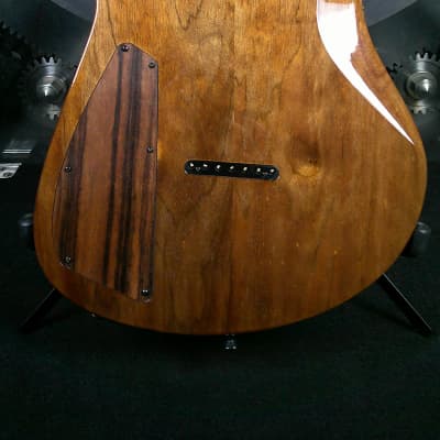 Blackat Guitars Custom Electric Guitar w/ Custom Hard Case image 9