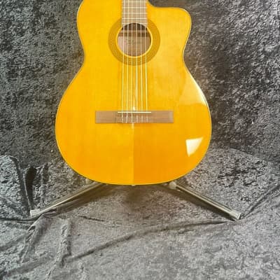 Takamine GC1CE-NAT Classical Acoustic Guitar (Nashville, Tennessee) for sale