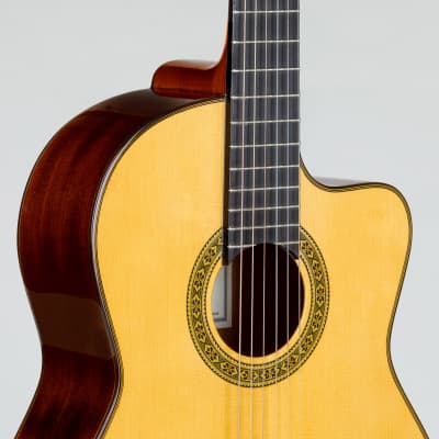 Pavan  TP-30 Acoustic Cutaway Spanish Classical Guitar- All Solid Woods, Handcrafted in Spain image 4