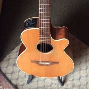 Takamine EAN30C Wide Neck Acoustic/Electric image 1