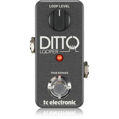 TC Electronic Ditto Looper Effects Pedal image 1