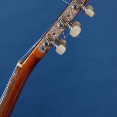 Giannini Craviola AWKNS6 / Nylon String and Bossa Ready! image 16
