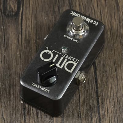 TC ELECTRONIC Ditto Looper Looper [04/24] image 3