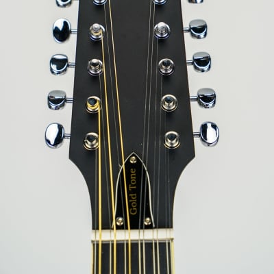 Gold Tone I-F12 Gold Tone F-Style 12-String Mando-Guitar w/ Foam Case image 9
