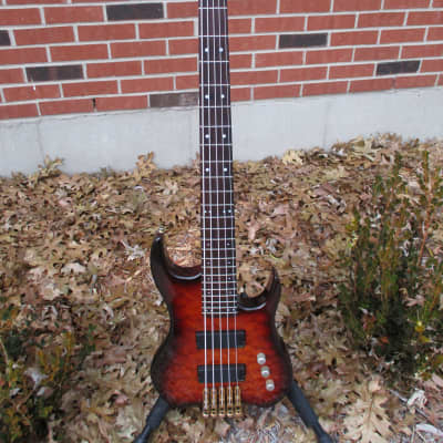 Bunker 5-string bass w/Fender hardshell case image 1