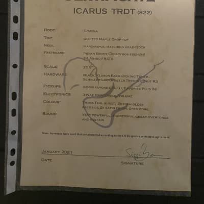 Siggi Braun Icarus TRDT 2021 - Teal Burst Quilt Top image 4