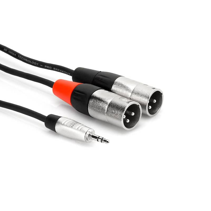 Hosa Pro Stereo Breakout REAN 3.5 mm TRS to Dual XLR3M, 3ft image 1