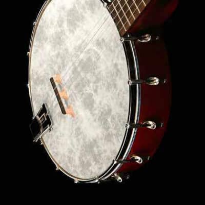 Recording King RKOH-05 Open Back 5-String Banjo. New, with Full Warranty! image 5