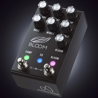Bloom Midi Black Jackson Audio image 3