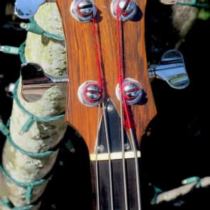 B.C Rich Eagle Bass "Lefty" 1976 image 5