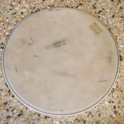 Ludwig Weather Master 13" Coated Drum Head Vintage 1960's