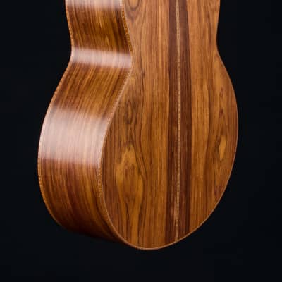 Lowden F-50 Fan Fret Sinker Rosewood and Alpine Spruce 2021 Winter Limited Edition NEW image 22