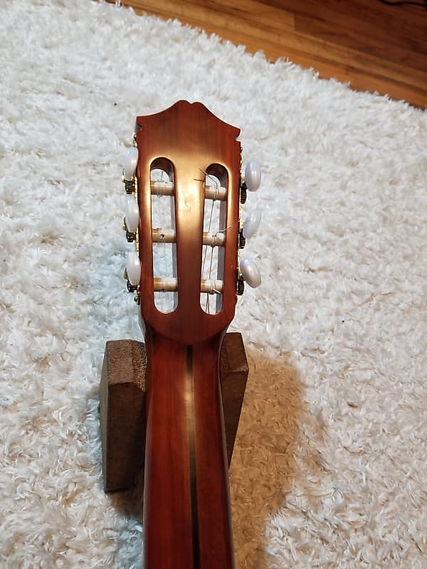 Morris M-20 | Reverb