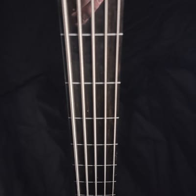 Fretless 5 string bass guitar image 14
