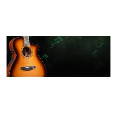 Breedlove Solo Pro Concert CE 6-String Red Cedar-African Mahogany Acoustic Electric Guitar with Ovangkol Bridge (Right-Handed, Edgeburst) image 9