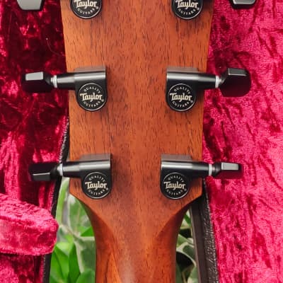 Taylor 324ce Grand Auditorium Mahogany/Blackwood Cutaway Acoustic/Electric with V-Class Bracing image 17