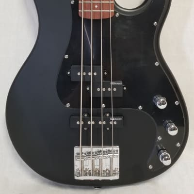 ESP LTD AP-204 Mahogany Top Electric Bass Guitar Natural Satin Black image 1