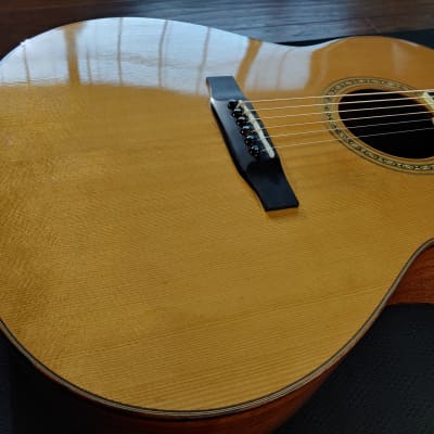 Larrivee、新品のアコースティックギター検索結果一覧