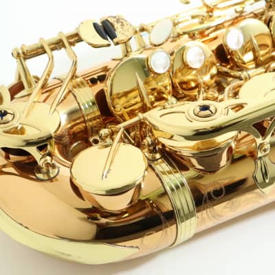 Yanagisawa A-Wo20 Alto Saxophone image 5