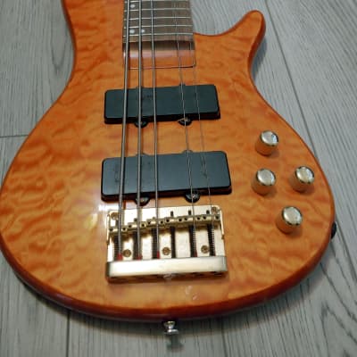 Carlo Robelli USB895 5 String Bass for sale