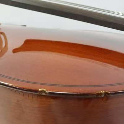Strunal Schoenbach Cello image 5