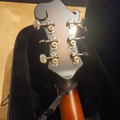 Gold Tone F-6 Manditar 2010s - Tobacco Sunburst image 10