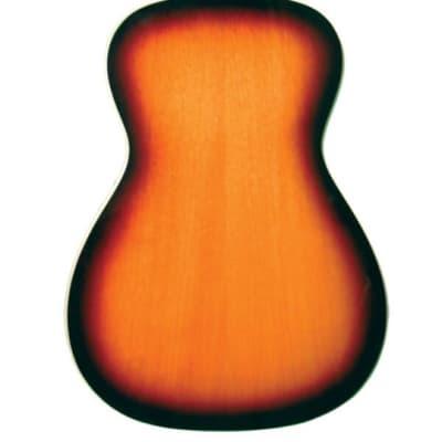 Gold Tone Paul Beard Signature Square Neck Resonator Acoustic Guitar w/Hard Case image 3