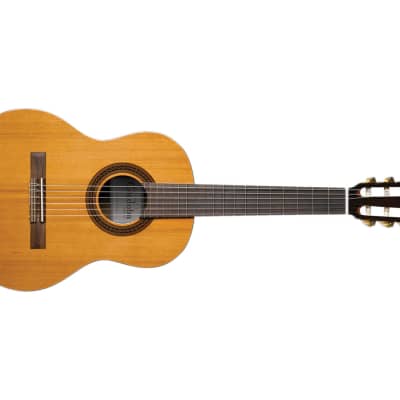 Cordoba Requinto Iberia Series 1/2 Size Nylon String Guitar - Open Box image 4