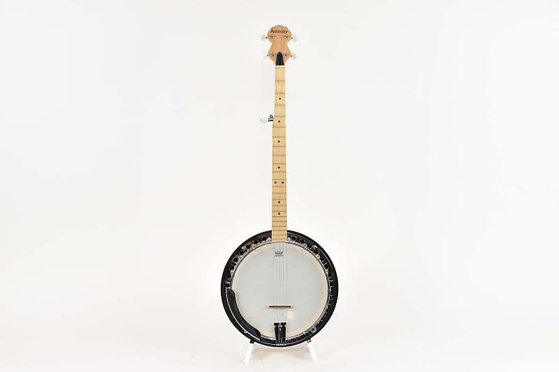 Ashbury 5String SemiAcoustic Banjo Occasion Reverb