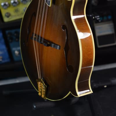 Lebeda F5 Standard+ Mandolin 2005 - Tobacco Sunburst image 18