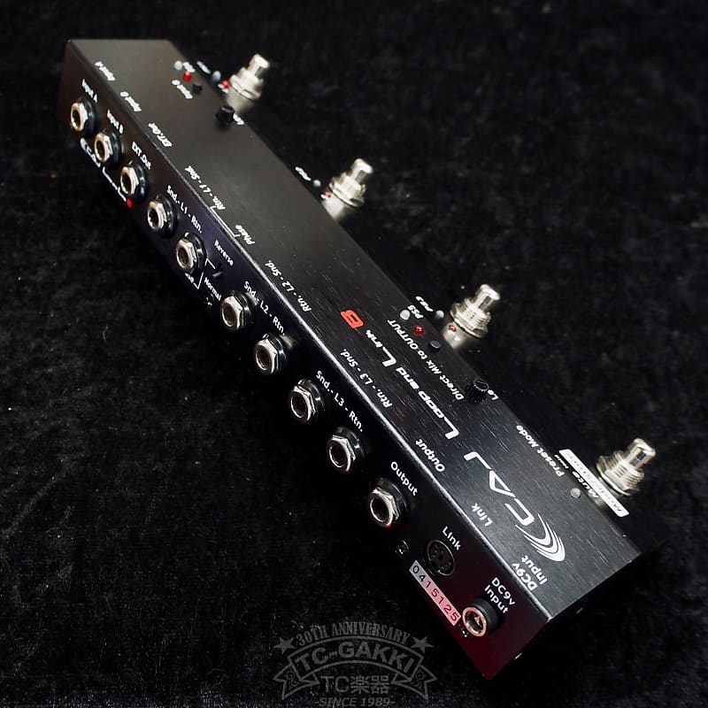 CUSTOM AUDIO JAPAN (CAJ) Loop and Link B | Reverb