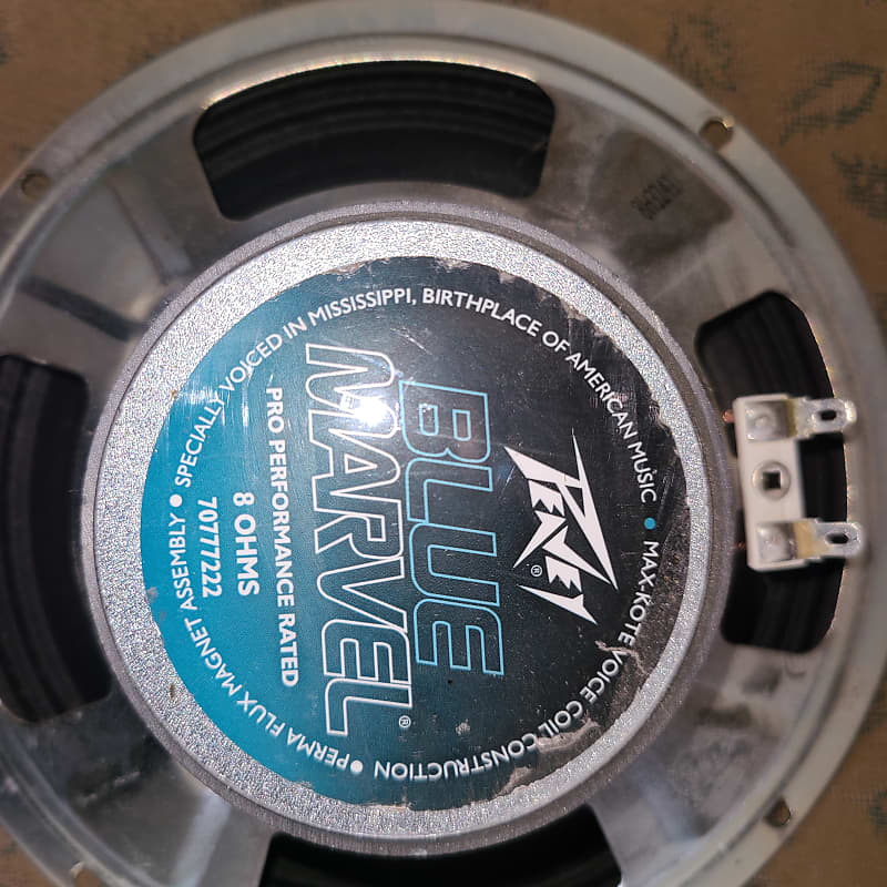 Peavey Blue tube speaker 8 inch Reverb