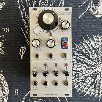 Dannysound Cali Oscillator - Brand New Eurorack Module image 2