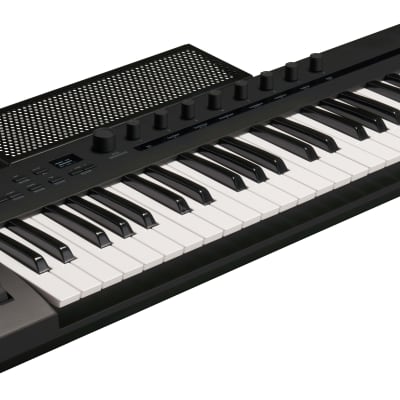 Korg Keystage MIDI Keyboard Controller With Polyphonic