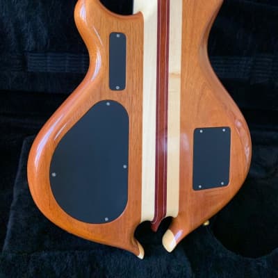 Alembic Darling With LEDs New Old Stock Cocobolo image 5