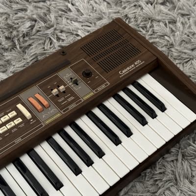 Casio best sale casiotone 405