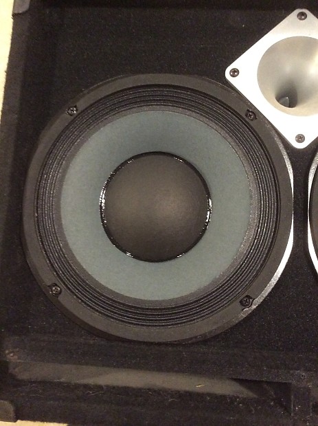 SWR Goliath III Junior 8 Ohm 2x10 Bass Cabinet Black
