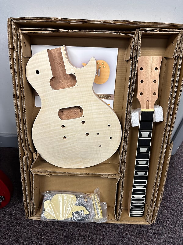 Les Paul DIY Guitar Kit set neck with carved maple top | Reverb