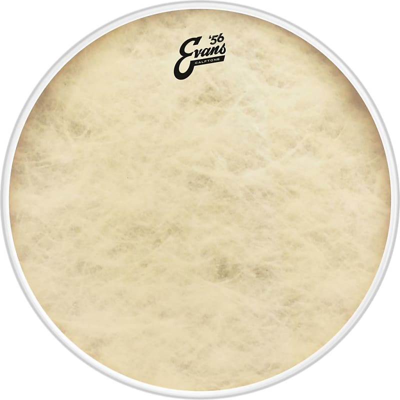 Evans Calftone Bass Drumhead 16 in image 1
