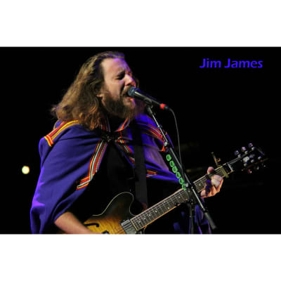 Epiphone Jim James Signature ES-335 Semi-Hollow Body Guitar - Seventies Walnut image 17