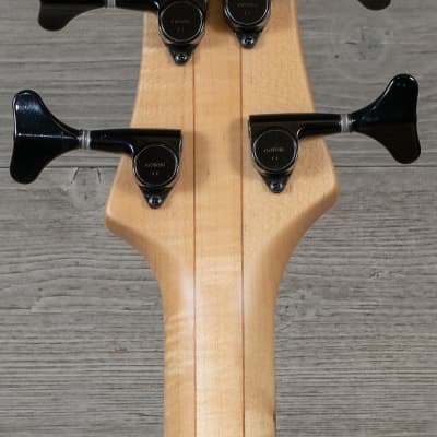 Roscoe Century Standard Plus 4J Fretless Bass Guitar Sunburst w/Case image 7