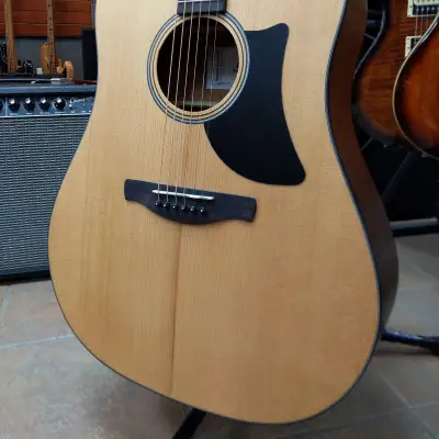 Ibanez AAD50 Advanced Acoustic - Natural Low Gloss image 2