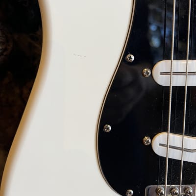 Fender Stratocaster Partscaster Build w/ Hard Shell Case image 6