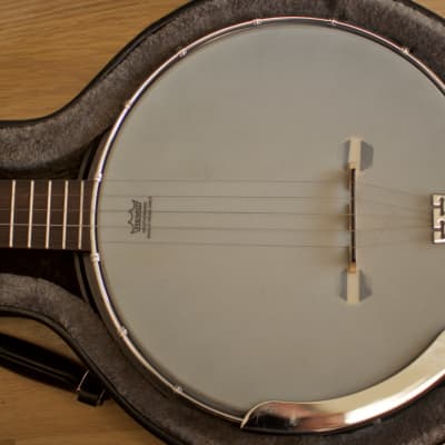 Gold Tone GT-Series AC-5 Banjo image 5