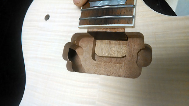 BYO or Bulldog Les Paul style guitar kit unfinished
