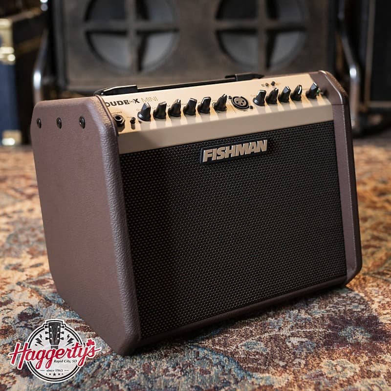 Fishman Loudbox Mini Bluetooth 60W Acoustic Combo PRO-LBT-500