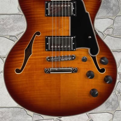 ギター D'AngelicoPremierMini DC Dark Iced Burst D'Angelico Premier