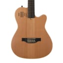 Godin A12 12-String Acoustic Electric Guitar (New York, NY)